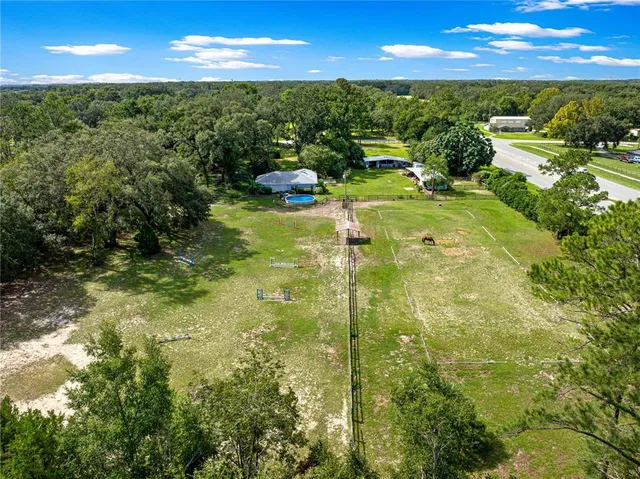 a view of a park with large trees