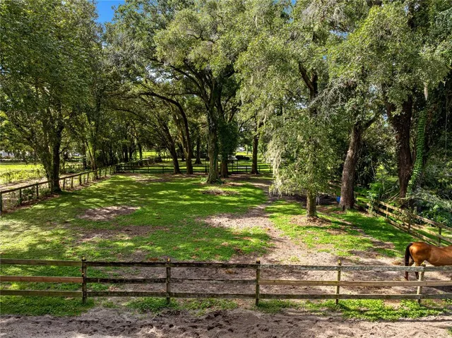 a view of a park with large trees