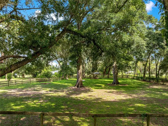 a view of a swimming pool with a yard