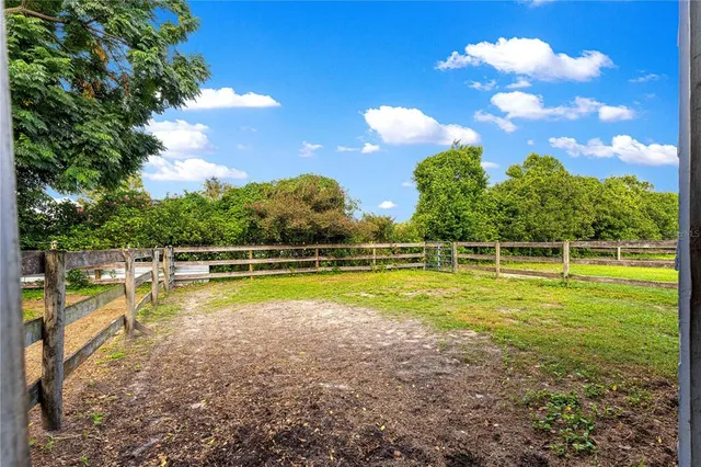 a view of a backyard with trees