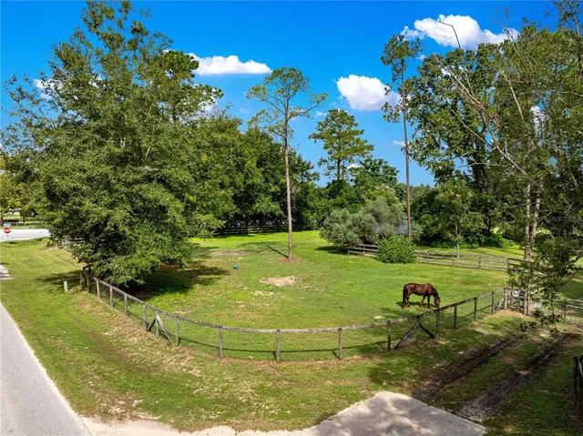 a view of a garden from a balcony