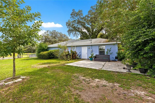 a view of a park with large trees