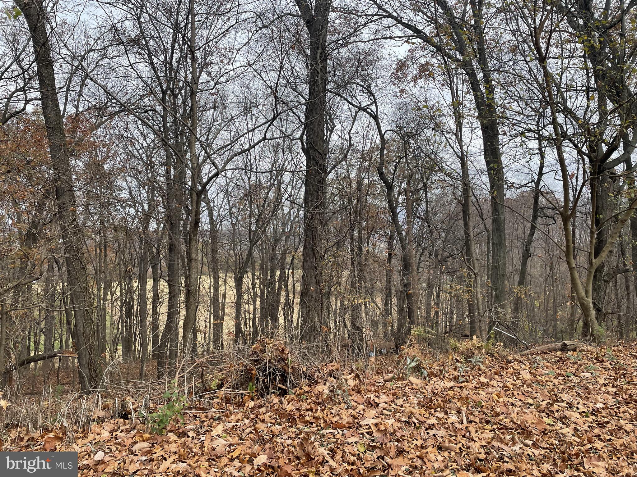 2355 Ridge Road Elizabethtown, PA 17022 - Photo 5 of 15 view of from the back yard
