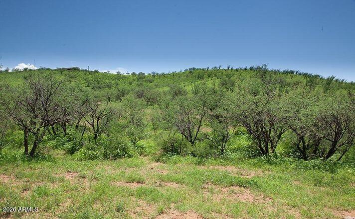 20 Baca Road Nogales, AZ 85621 - Photo 6 of 11 20 BACA RD