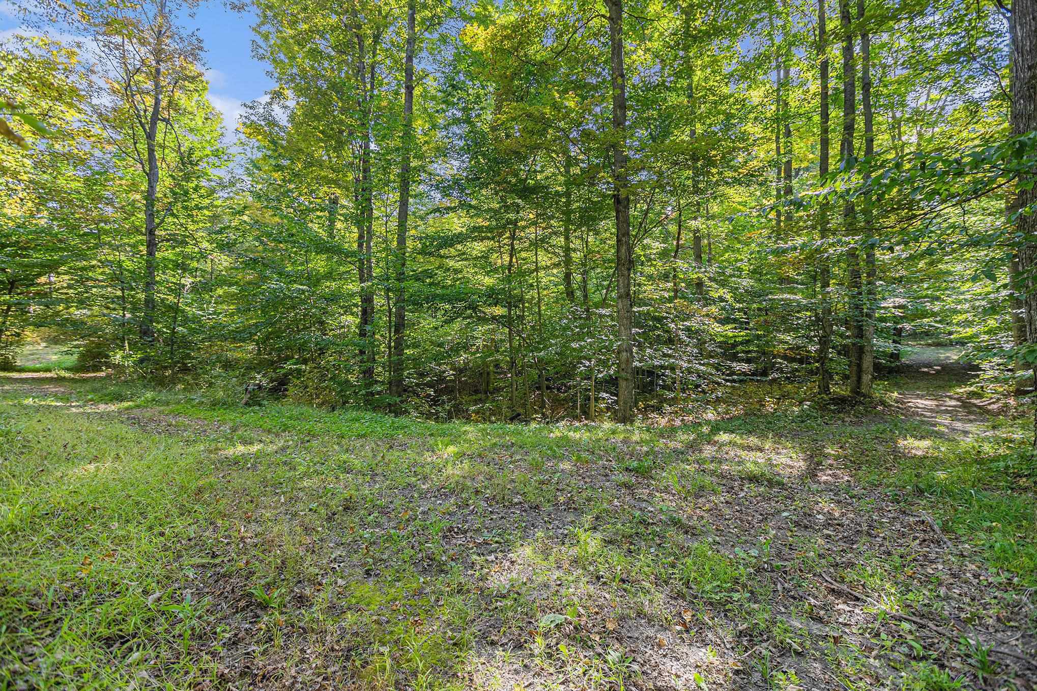 0 Wilson Road Buckley, MI 49620 - Photo 10 of 25