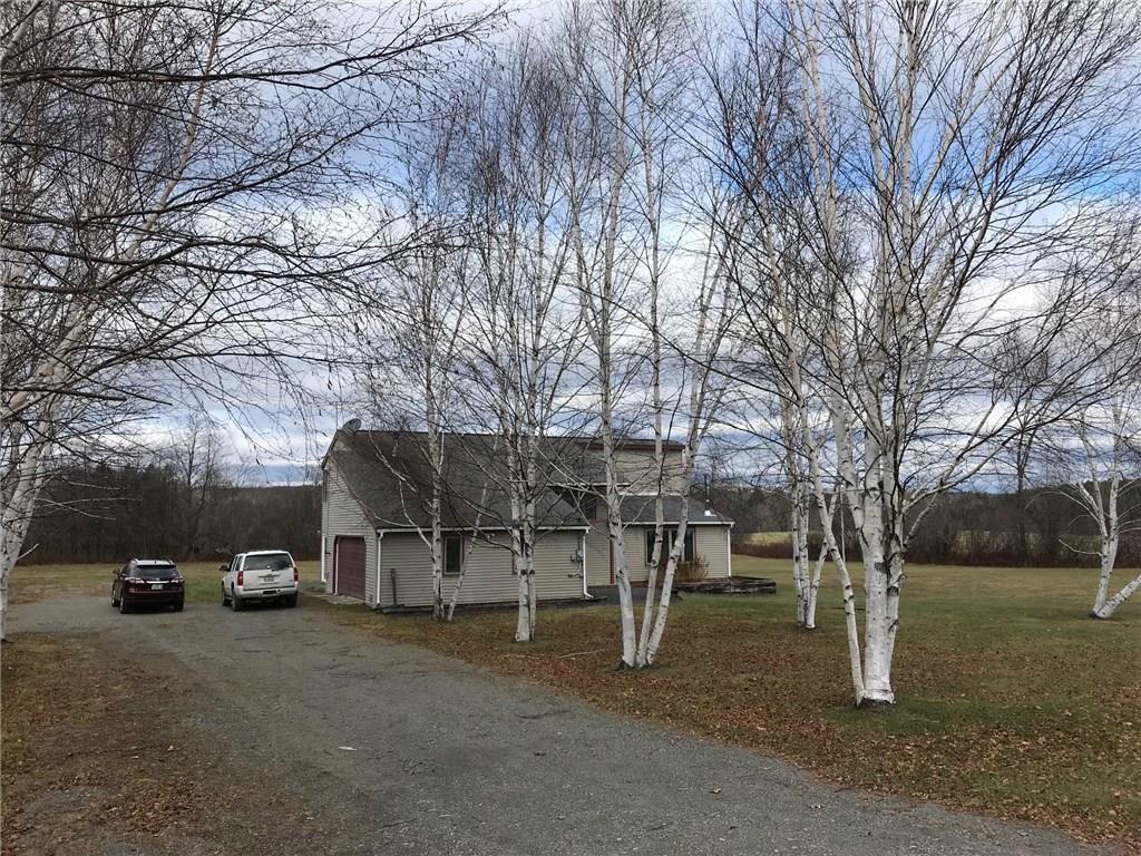 28 Ripley Road Cambridge, ME 04923 - Photo 2 of 35 Birch trees line the driveway.