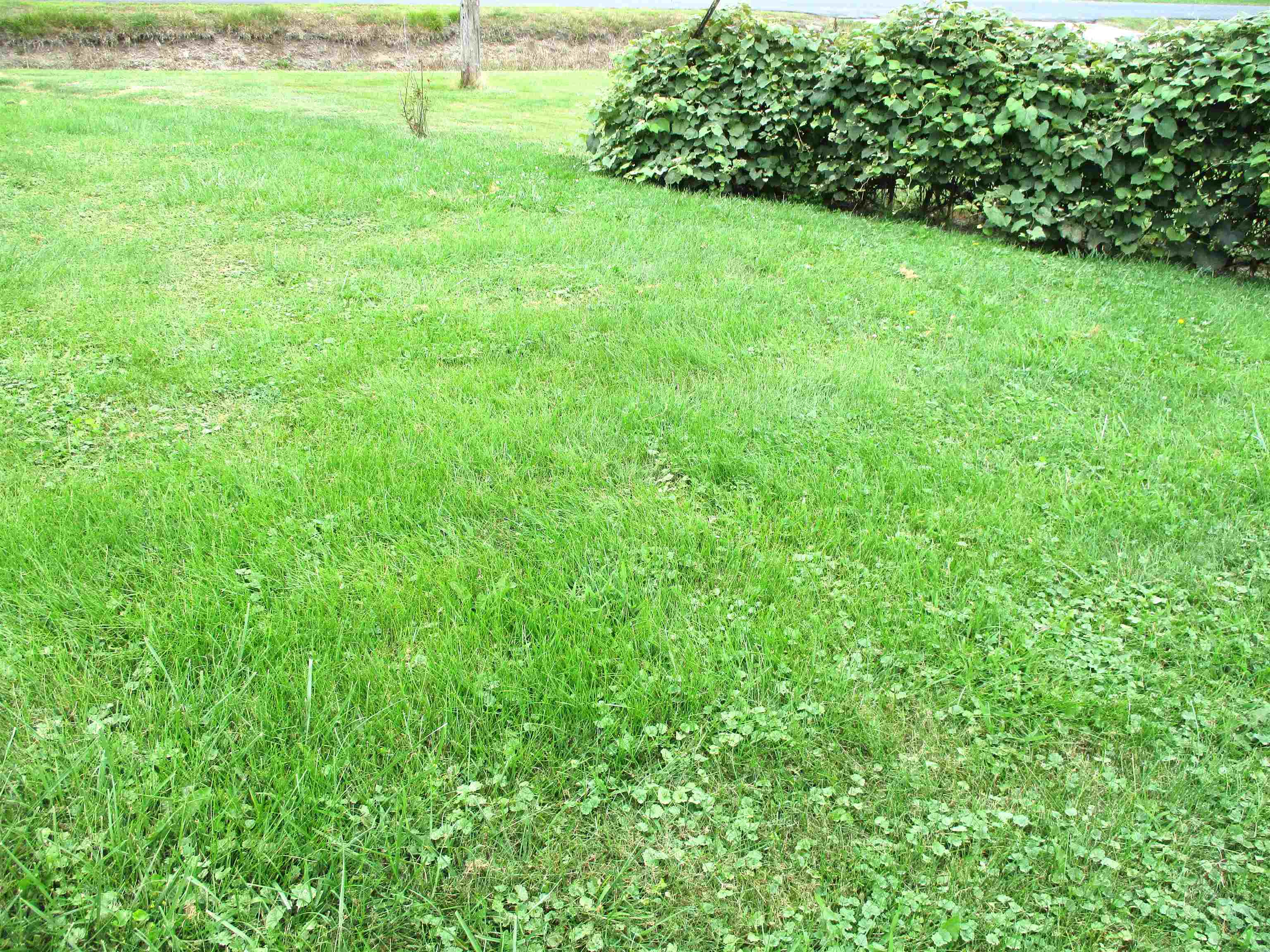 8554 Monroe Road Durand, MI 48429 - Photo 33 of 36