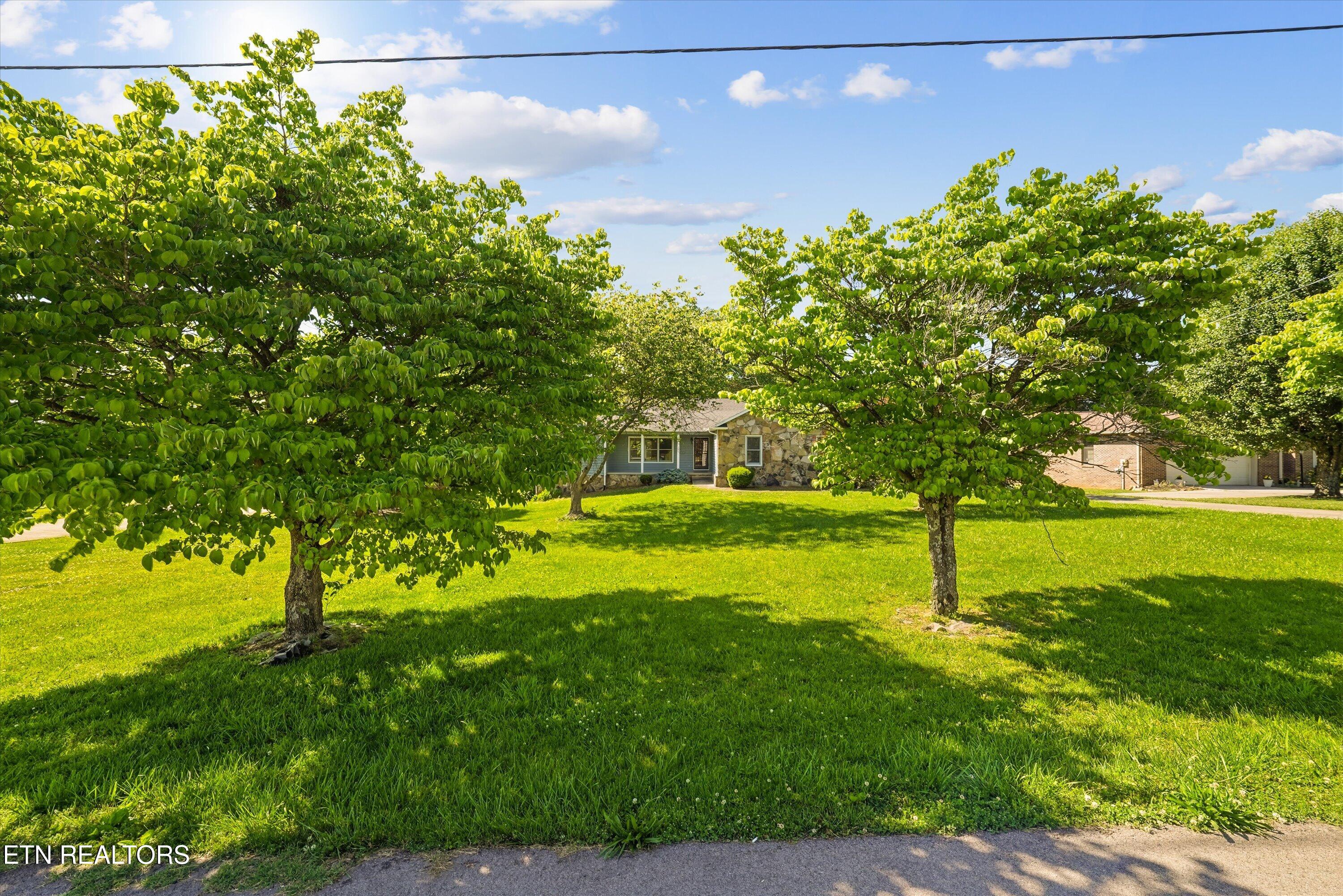 131 Overton Lane Powell, TN 37849 - Photo 3 of 37 03-131 Overton Ln42