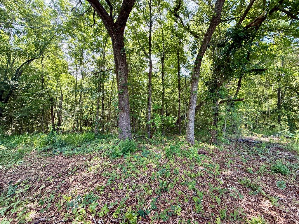 1243 Silcox Road Ashford, AL 36312 - Photo 66 of 92