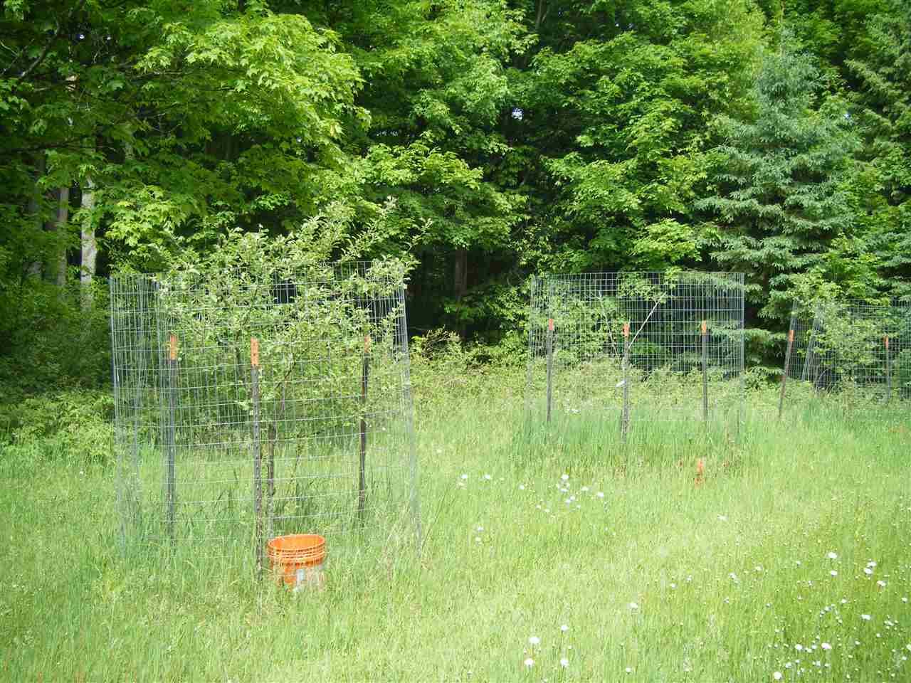 2141 South 23 Road Boon, MI 49618 - Photo 47 of 47 1873536-46.JPG
