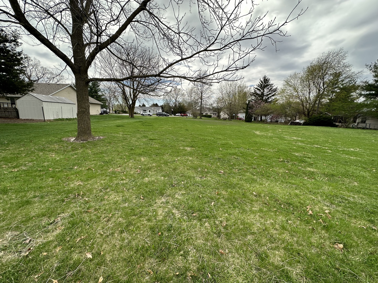 3916 East 2589th Road Sheridan, IL 60551 - Photo 2 of 3 a view of yard with green space