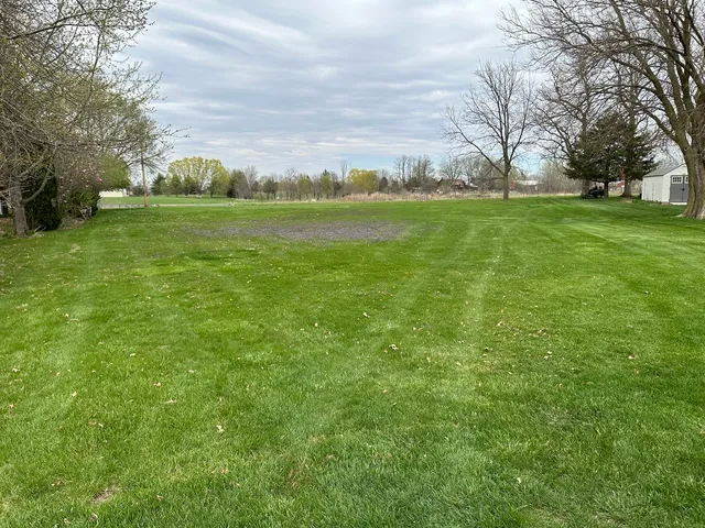 a view of a field with grass and trees