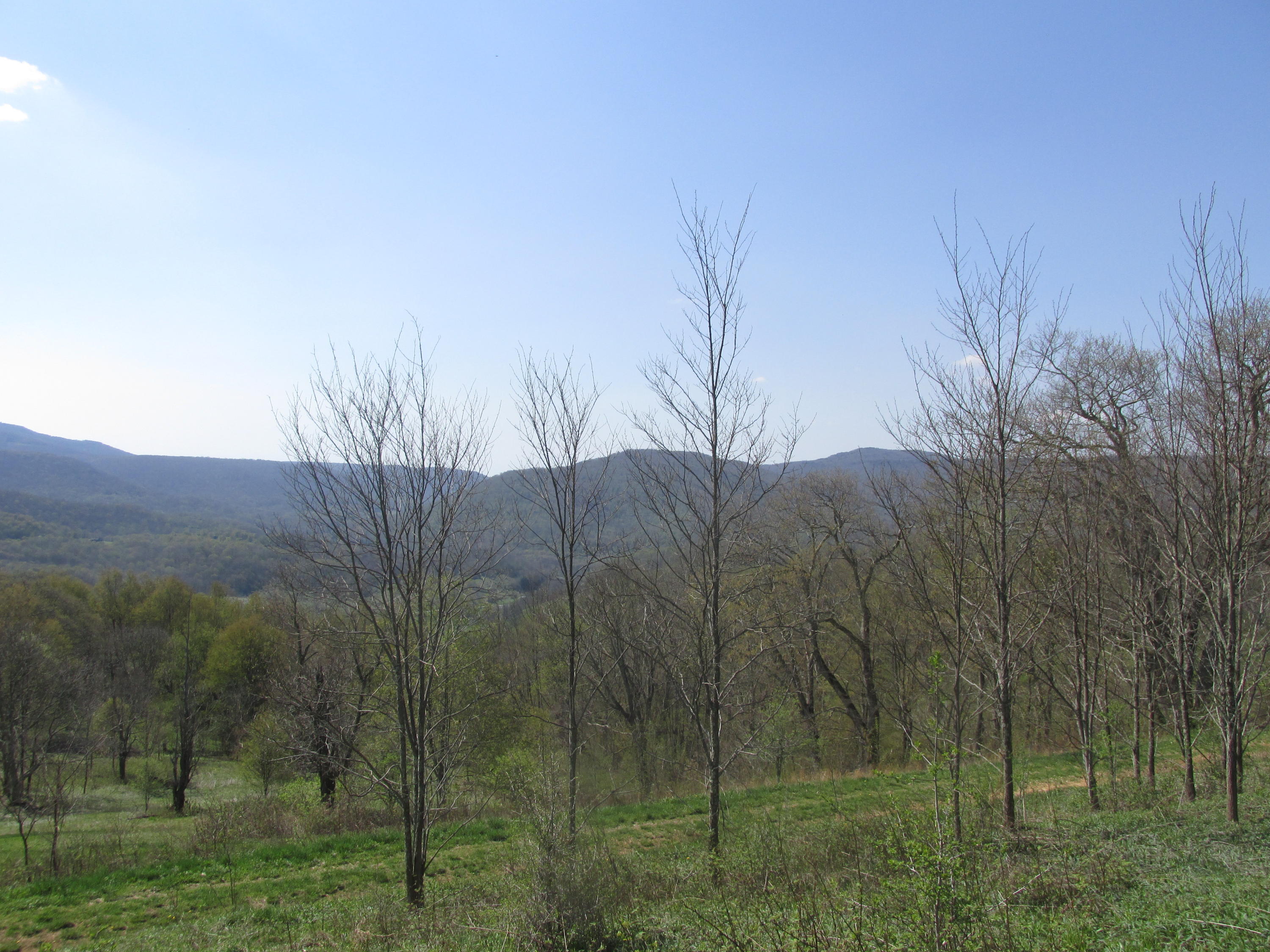 26 Headwaters Road Slatyfork, WV 26291 - Photo 5 of 12 Gallery Image 5