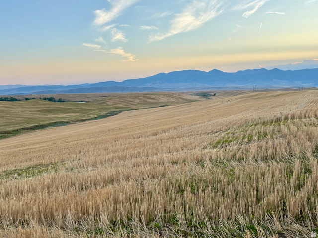 311 East Mail Rte Road Preston, ID 83263 - Photo 10 of 17 Expansive agricultural land featuring rolling fields, distant mountains, and open sky