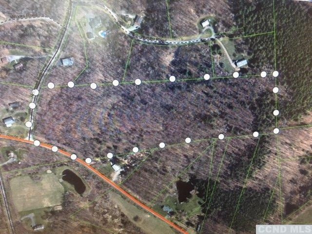 0 Rt 20 Acra, NY 12405 - Photo 2 of 2