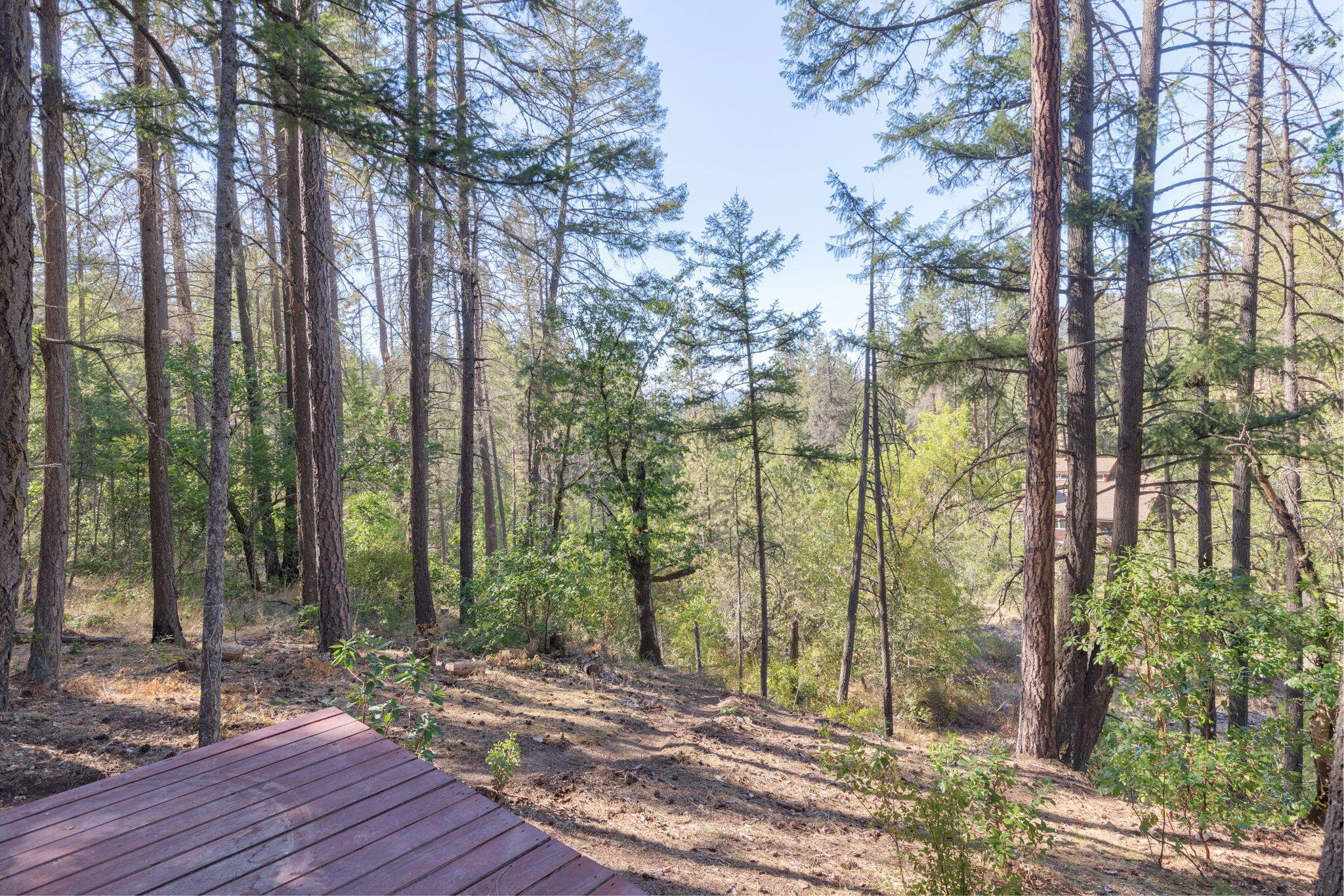 2110 Little Applegate Road Jacksonville, OR 97530 - Photo 28 of 35 View down the driveway