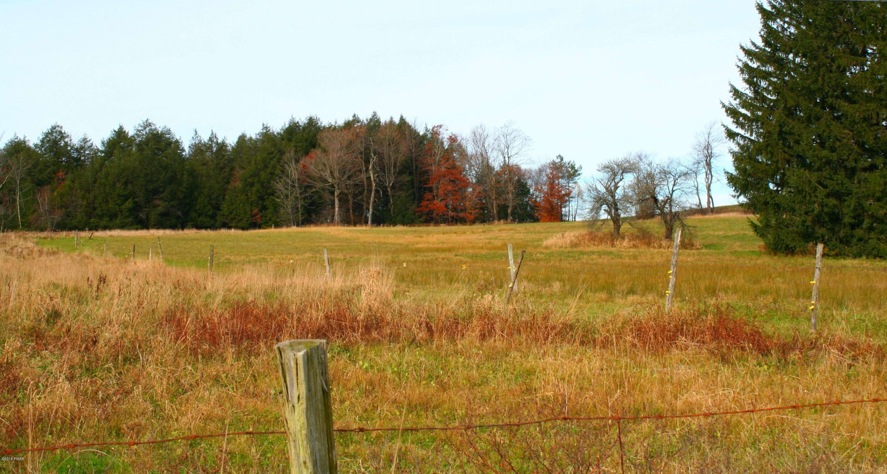 Lot E Lot E North Road Pleasant Mount, PA 18453 - Photo 3 of 7