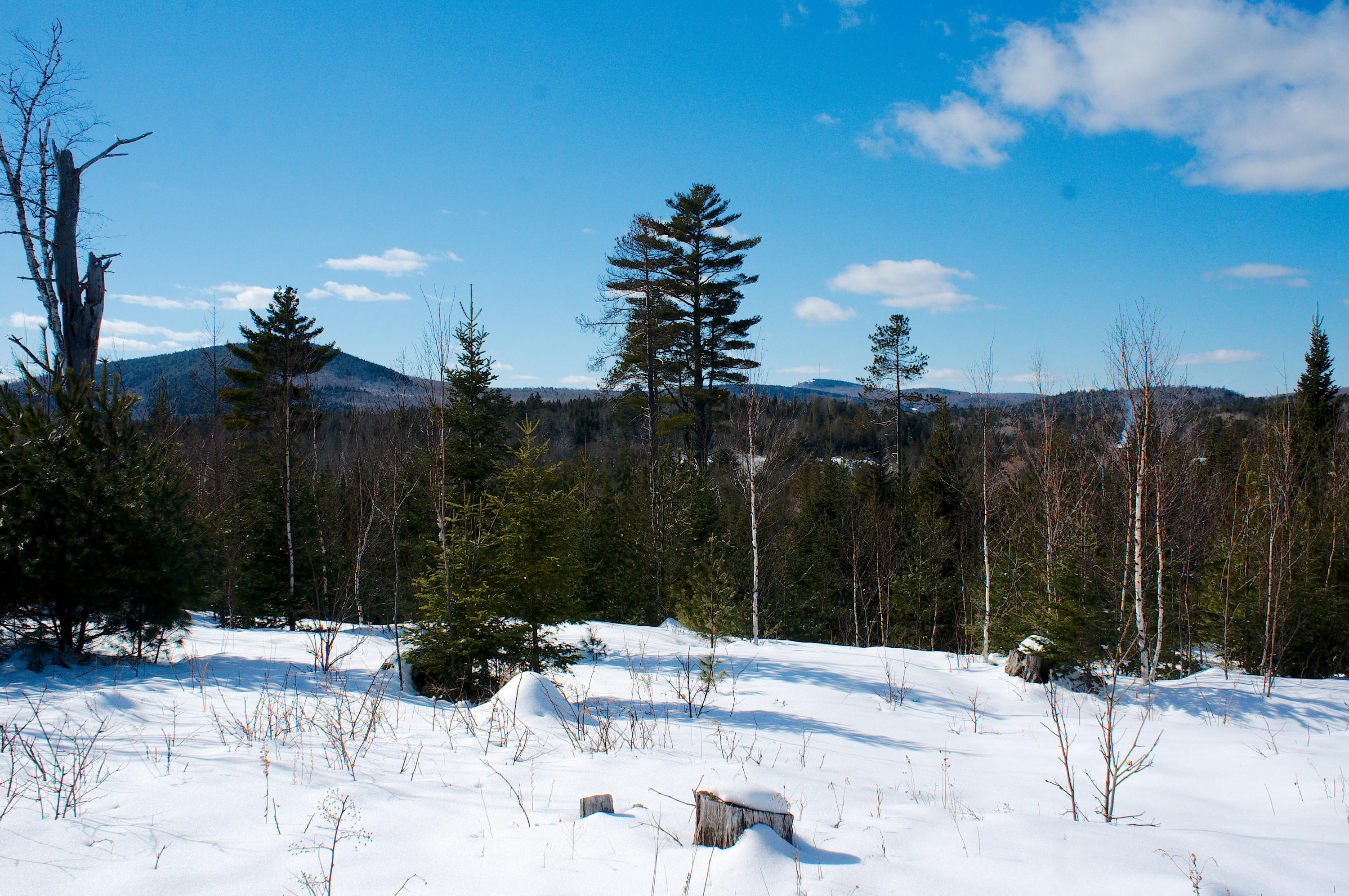 487 Airline Road Ellsworth, ME 04605 - Photo 27 of 61 Mountains
