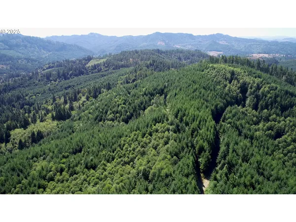 a open area with mountains in the background