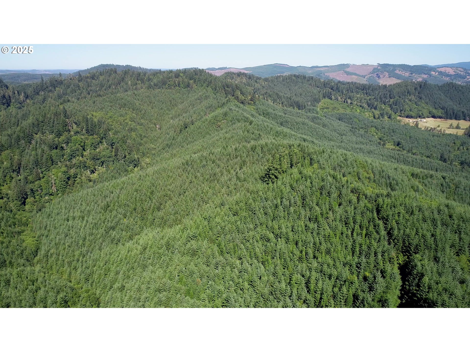 Lee Valley Road Myrtle Point, OR 97458 - Photo 2 of 3 a black and white photo of a forest