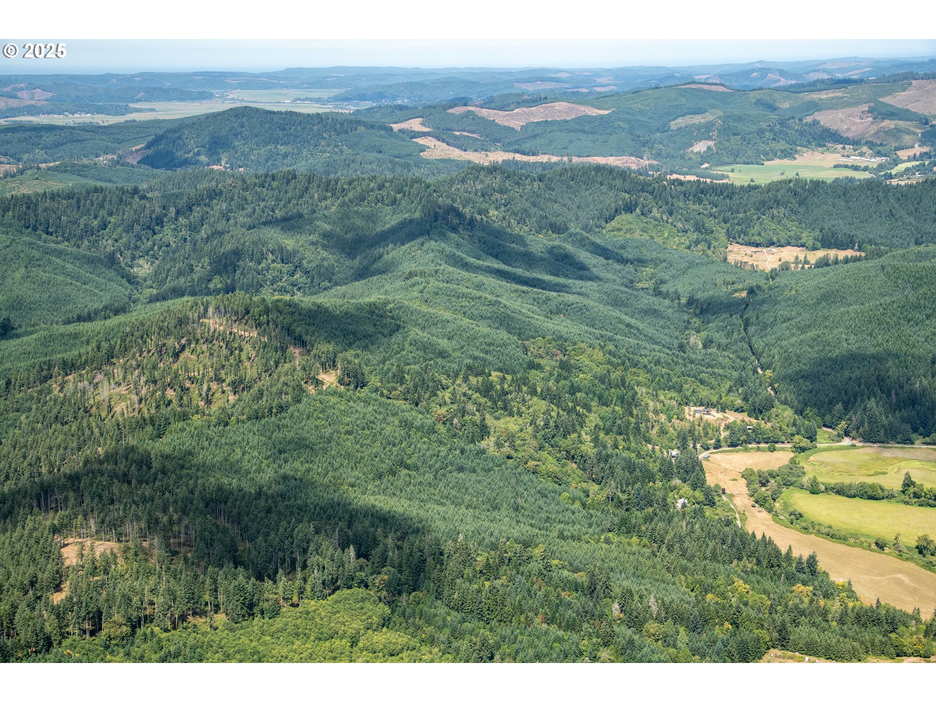 Lee Valley Road Myrtle Point, OR 97458 - Photo 3 of 3 a view of a lake with a mountain