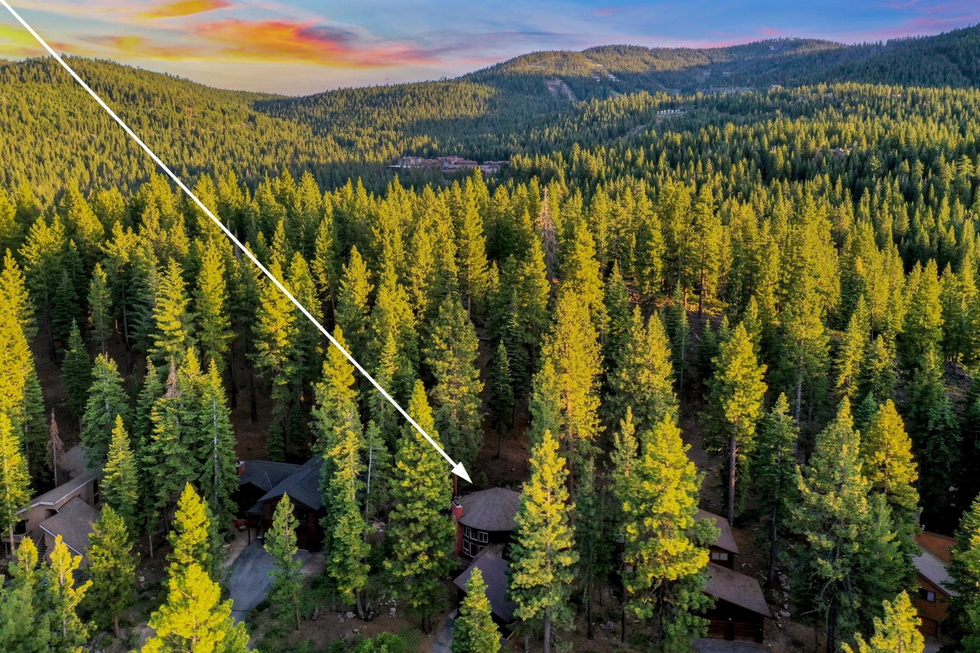 1625 Deer Path Truckee, CA 96161 - Photo 3 of 28 a view of a city with lush green forest