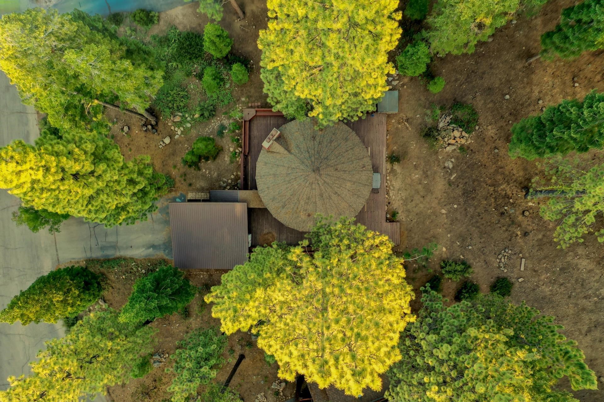 1625 Deer Path Truckee, CA 96161 - Photo 5 of 28 a plant that is in a garden