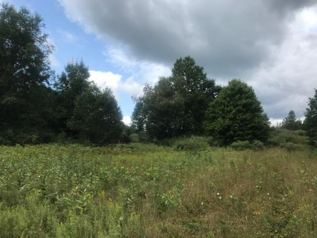 4750 20 Mile Road Barryton, MI 49305 - Photo 11 of 12 11