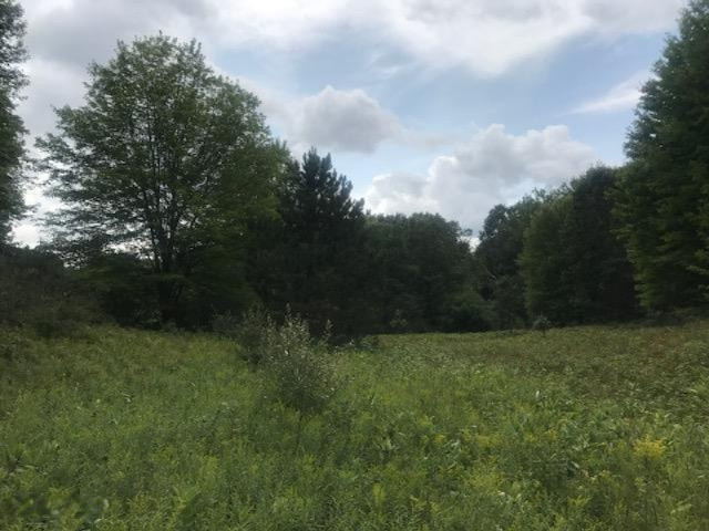 4750 20 Mile Road Barryton, MI 49305 - Photo 12 of 12 12