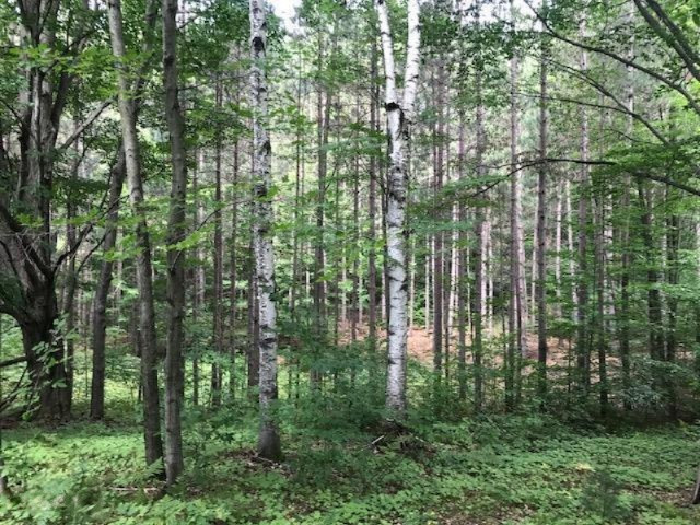 4750 20 Mile Road Barryton, MI 49305 - Photo 3 of 12 3