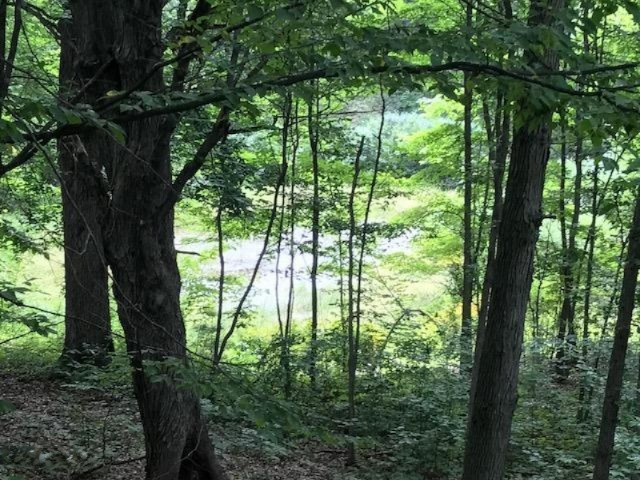 4750 20 Mile Road Barryton, MI 49305 - Photo 5 of 12 5
