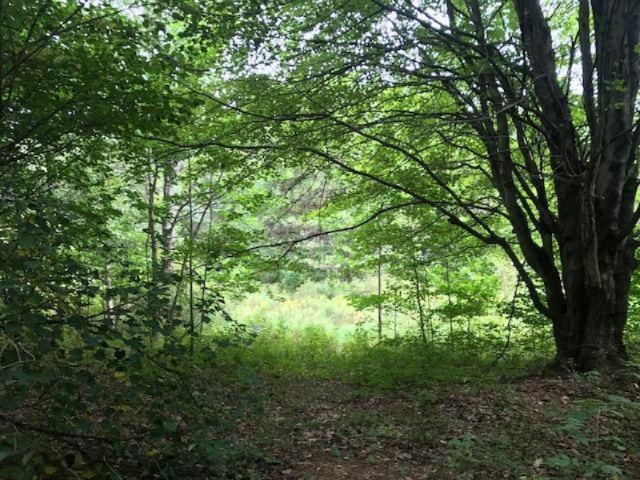 4750 20 Mile Road Barryton, MI 49305 - Photo 9 of 12 9