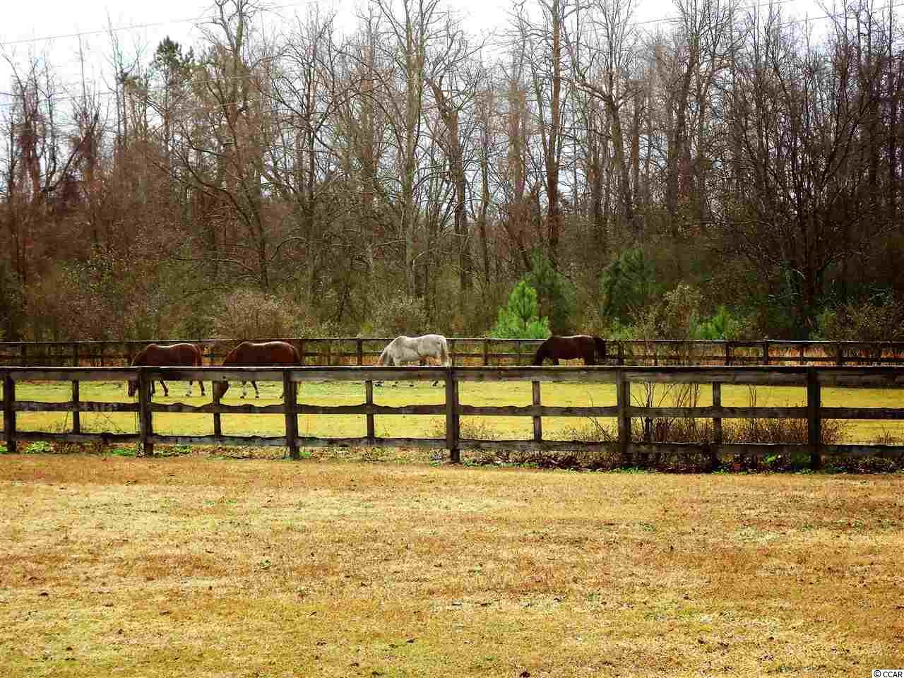 1501 Heritage Road Loris, SC 29569 - Photo 24 of 25 Gallery Image 24