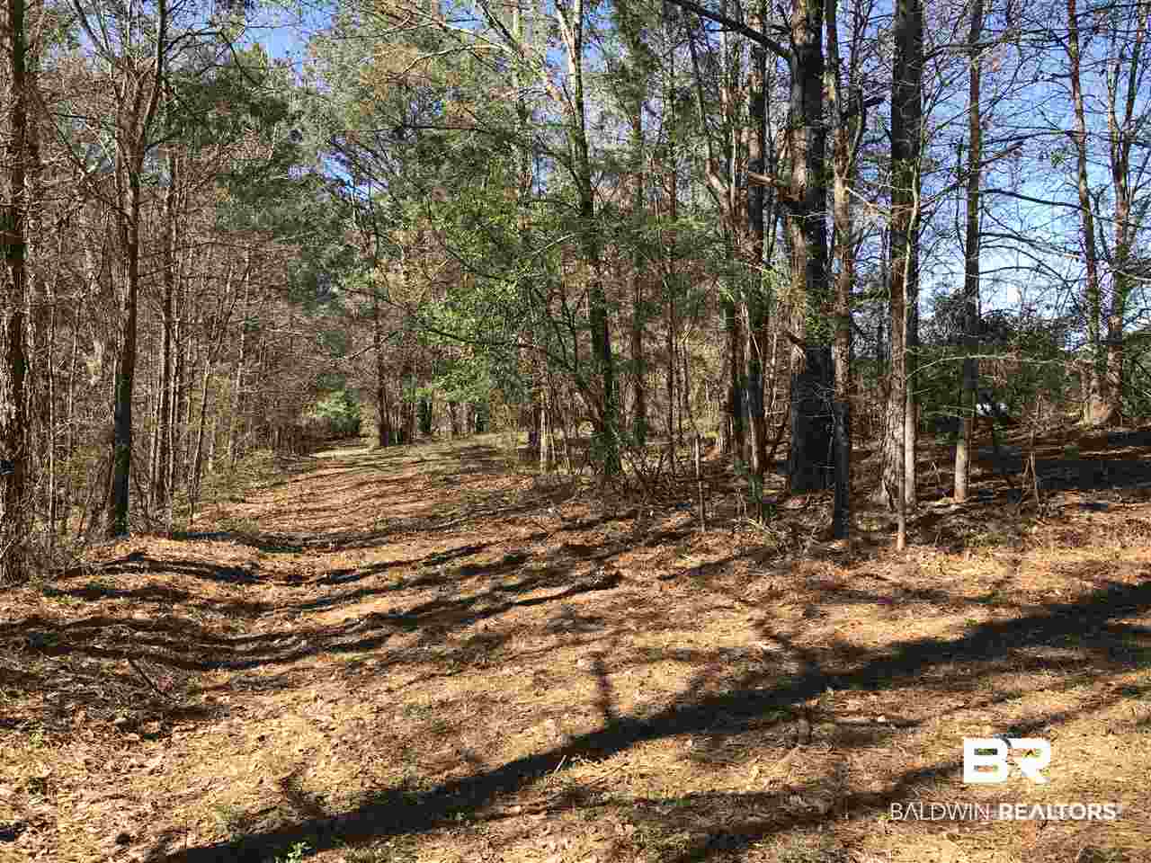 1478 Ridge Road Greenville, AL 36037 - Photo 34 of 50