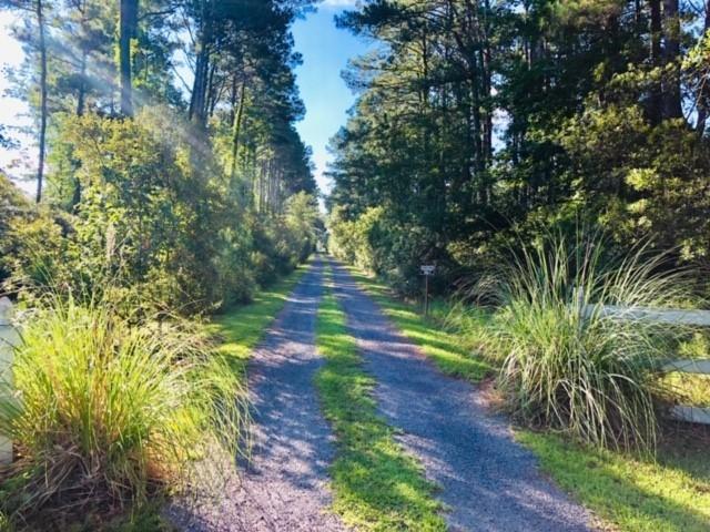 1402 Marshwind Island Road Awendaw, SC 29429 - Photo 21 of 33 Private Road