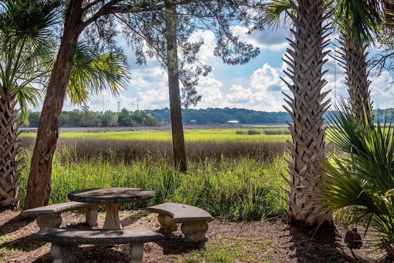 1402 Marshwind Island Road Awendaw, SC 29429 - Photo 28 of 33 Views