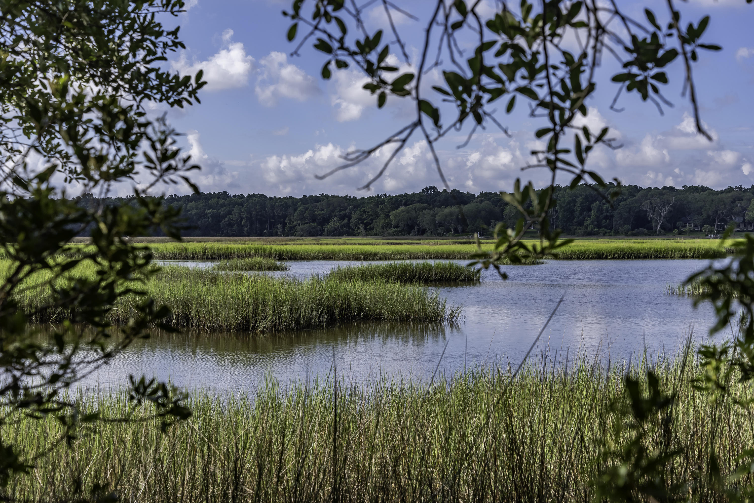 1402 Marshwind Island Road Awendaw, SC 29429 - Photo 29 of 33 Lovely views from every part of this lot