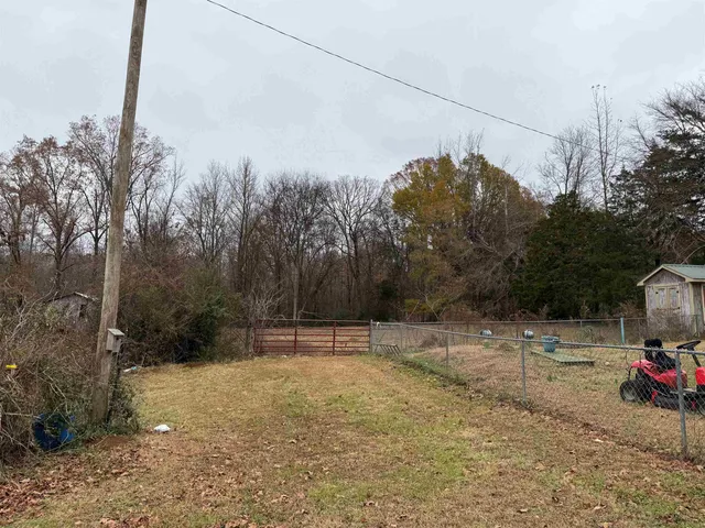a view of a garden with plants and large trees