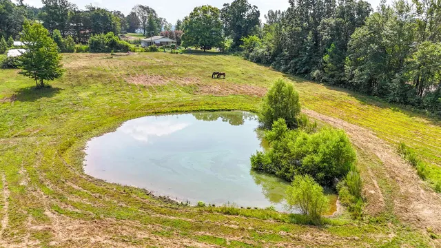 a view of a swimming pool with a yard