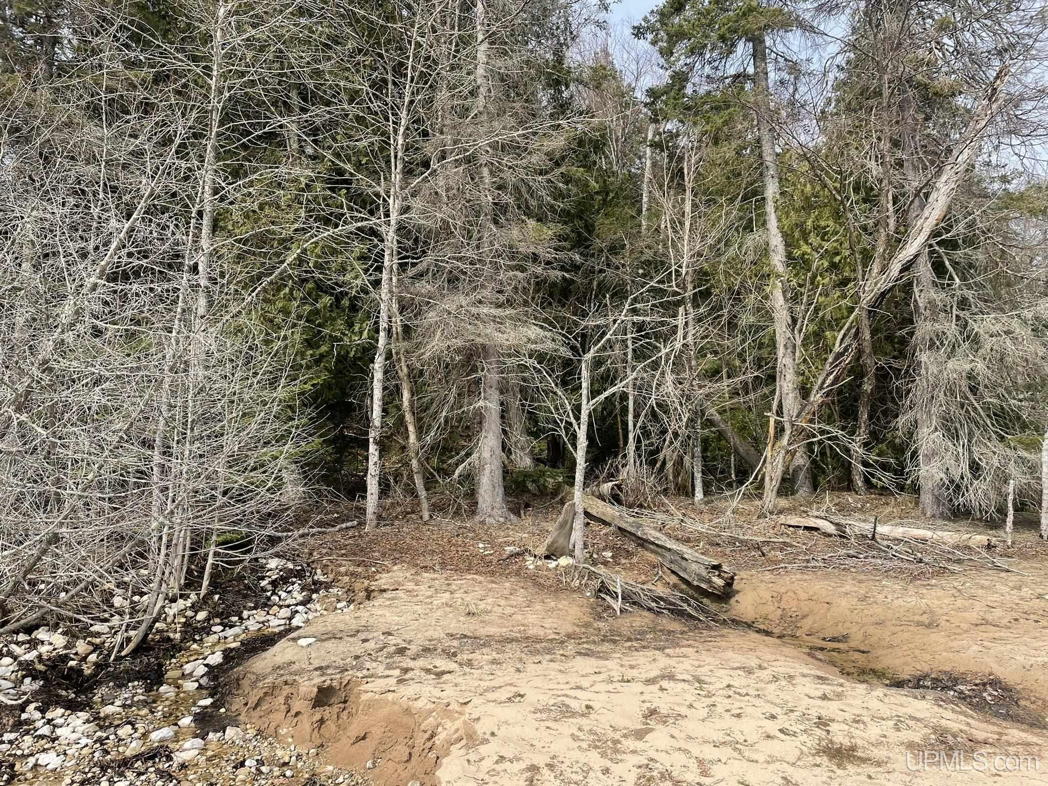 Tbd Peninsula Acres Road Manistique, MI 49854 - Photo 28 of 33