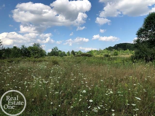8390 Arendt Road Yale, MI 48097 - Photo 53 of 53 view of land behind home