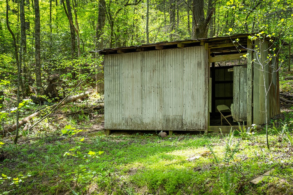 891 Bushy Head Road Cherry Log, GA 30522 - Photo 9 of 24