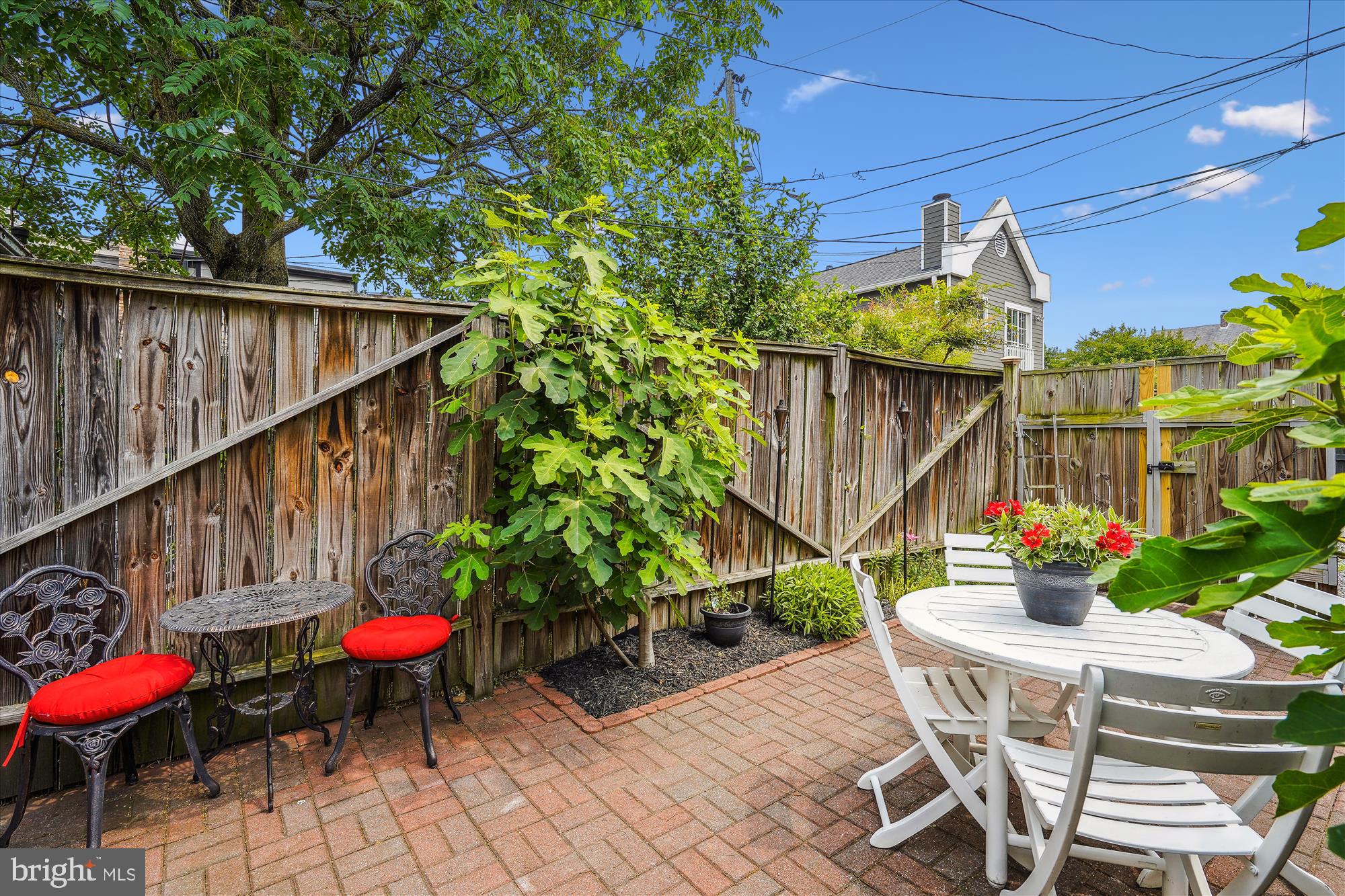 908 Pendleton Street Alexandria, VA 22314 - Photo 31 of 35 Back Yard