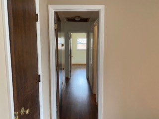 412 Rambling Ridge Road Orangeburg, SC 29115 - Photo 5 of 11 Photo 5
