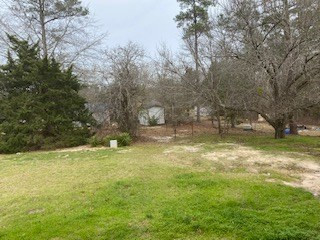 412 Rambling Ridge Road Orangeburg, SC 29115 - Photo 10 of 11 Photo 10