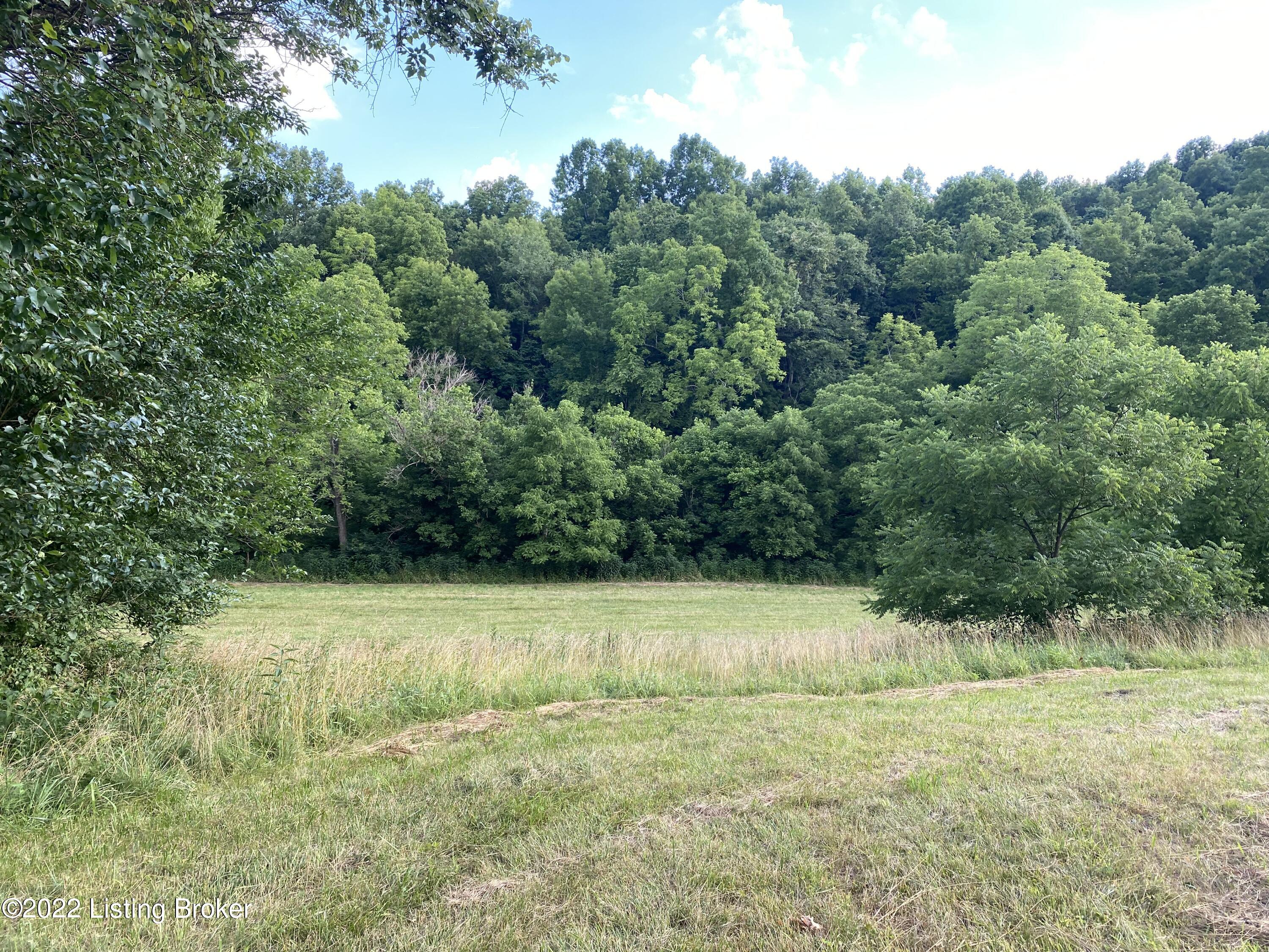 1795 Briar Ridge Road Mount Eden, KY 40046 - Photo 43 of 59 IMG_4549