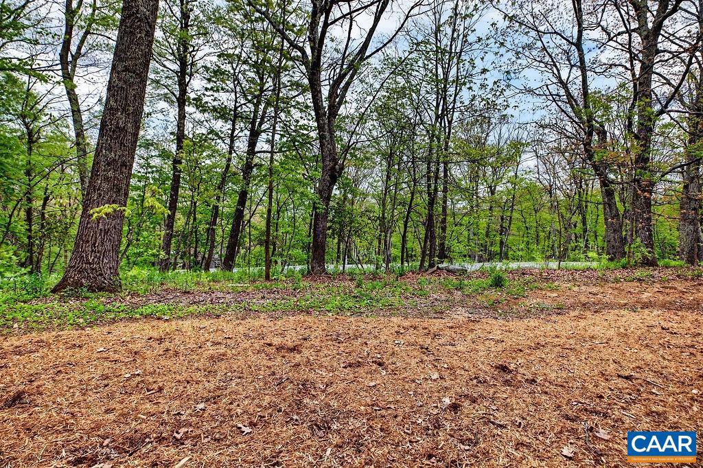 2231 Tanners Ridge Wintergreen, VA 22967 - Photo 6 of 30 Gallery Image 6