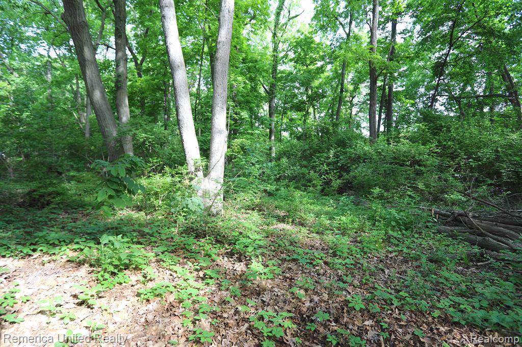 912 Sunset Road Ann Arbor, MI 48103 - Photo 20 of 20