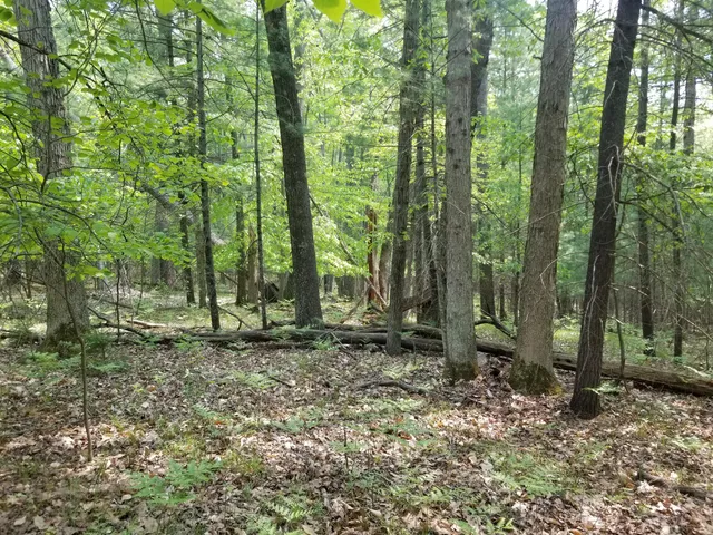 $75,900 | 16 West 12 Mile Road, Irons, MI 49644