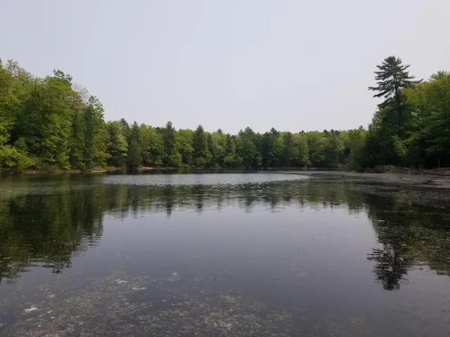 $75,900 | 16 West 12 Mile Road, Irons, MI 49644